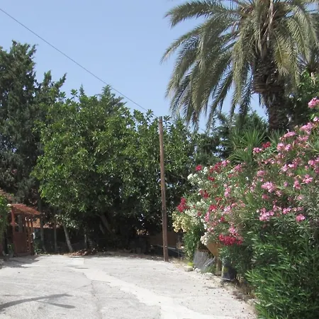 Simple Studio, Chloraka Paphos